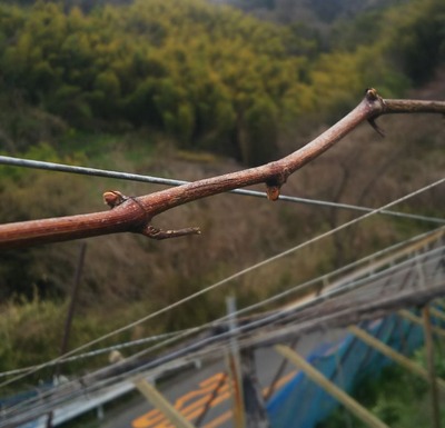 20190402_2