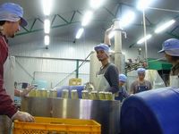 20100615�ѥԡ����ͥͥå��ե꡼��