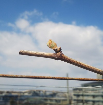 20190402_3