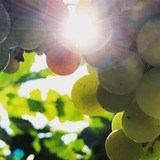 3EC138AE-F89F-4BF9-968A-5D3510FDDF81