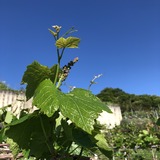 F4D43DB2-938C-47BE-A2DA-8819AC411BCF