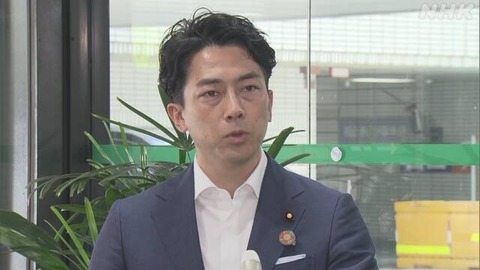 koizumi2