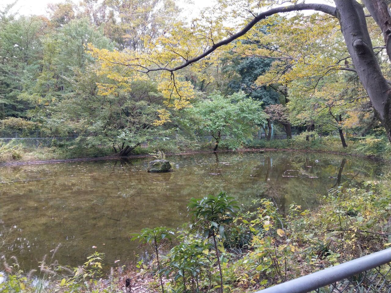 ガチで異世界に繋がってるかもしれない場所を教える マンデラ効果まとめブログ マンデラ効果 マンデラエフェクトまとめ