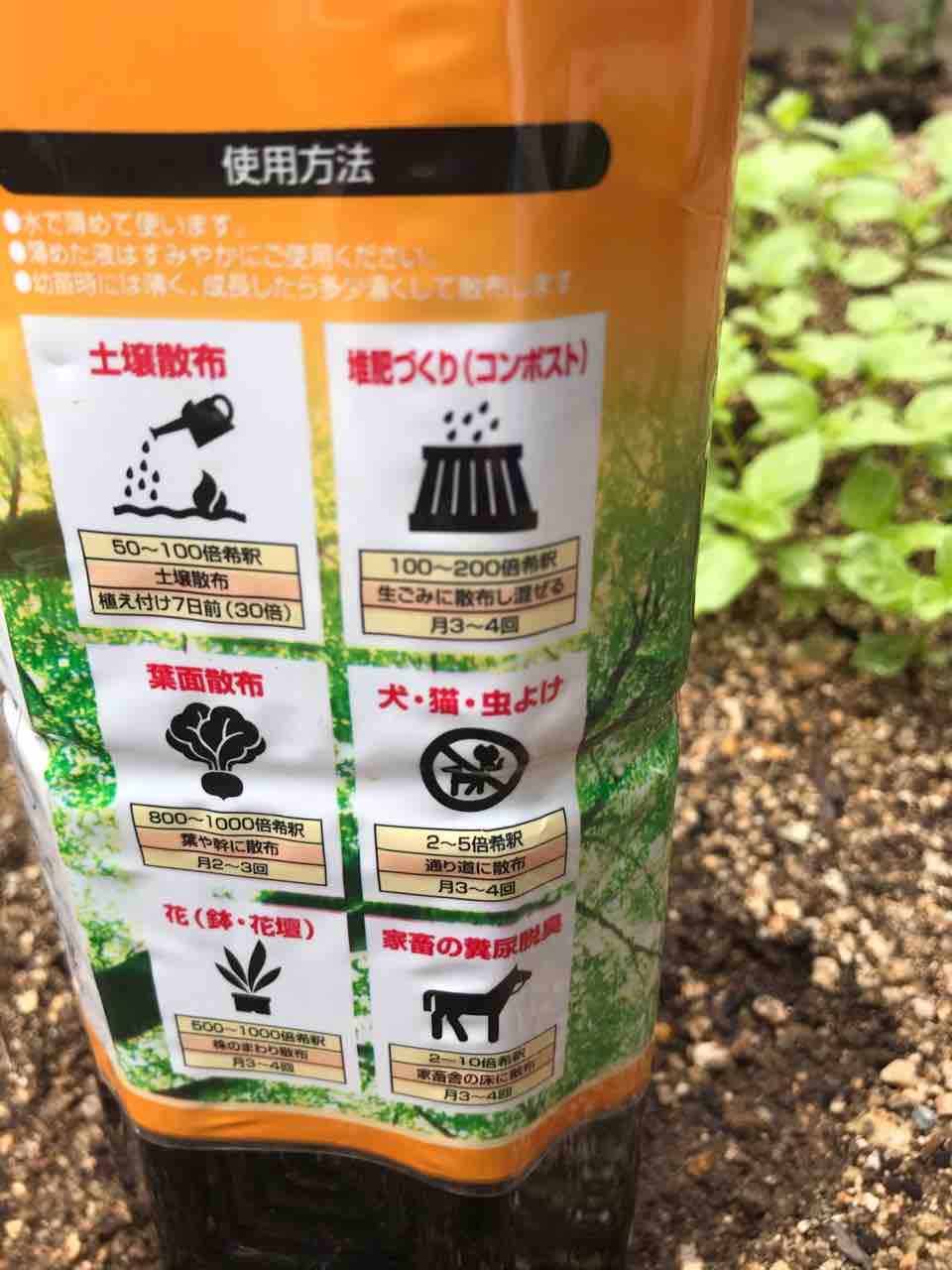 家庭菜園の敵ネキリムシをやっつける Katazuketyuuのblog