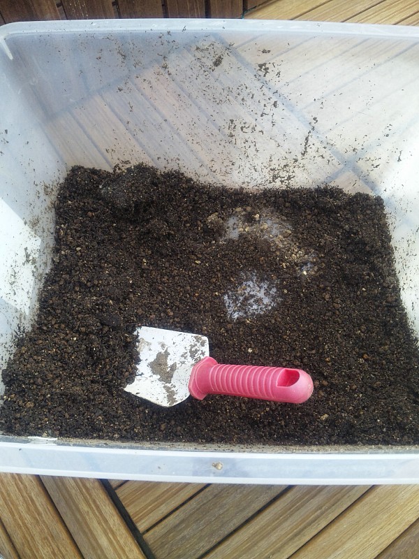 土の再利用 リサイクル ベランダで家庭菜園 プランターで栽培日記