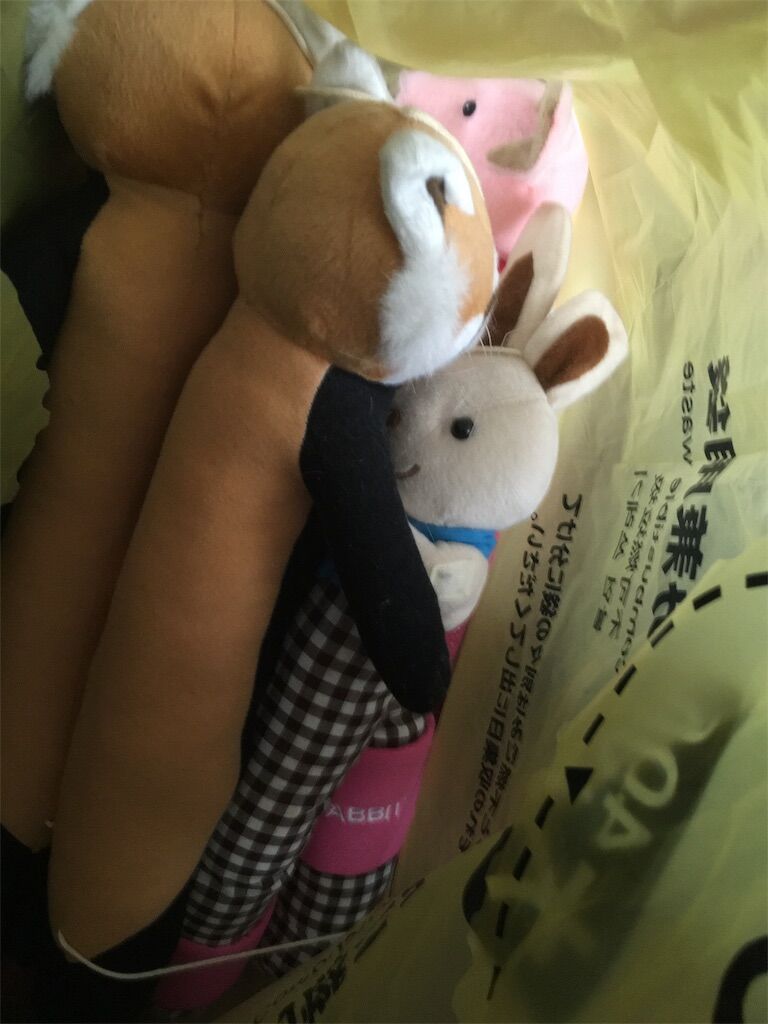 f:id:aladdin0102:20190529235043j:image
