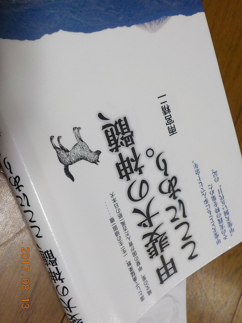 白州の杜からブログ 甲斐犬は野で育てるのが一番 白州の杜からブログ 甲斐犬は野で育てるのが一番