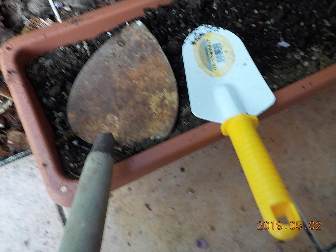 白州の杜からブログ ジャッキーと錆びた移植ゴテの関係