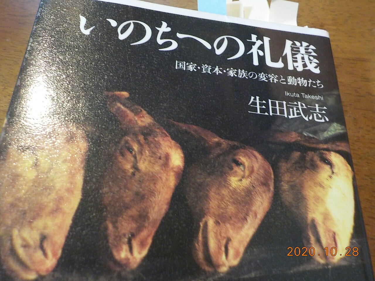 白州の杜からブログ かわいそうなぞう と絵本 そして トンキーもしんだ 白州の杜からブログ かわいそうなぞう と絵本 そして トンキーもしんだ