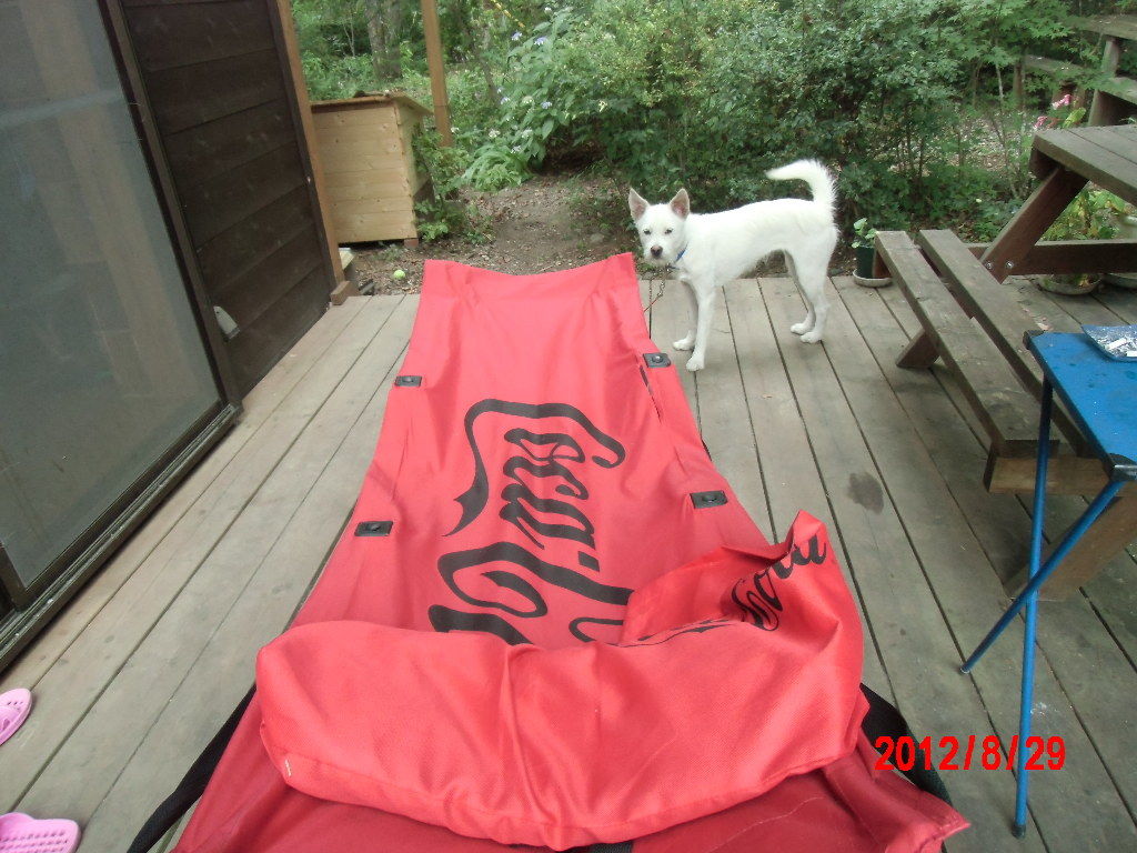 白州の杜からブログ 楽天のオークションで買った お気に入りの寝椅子に異変が