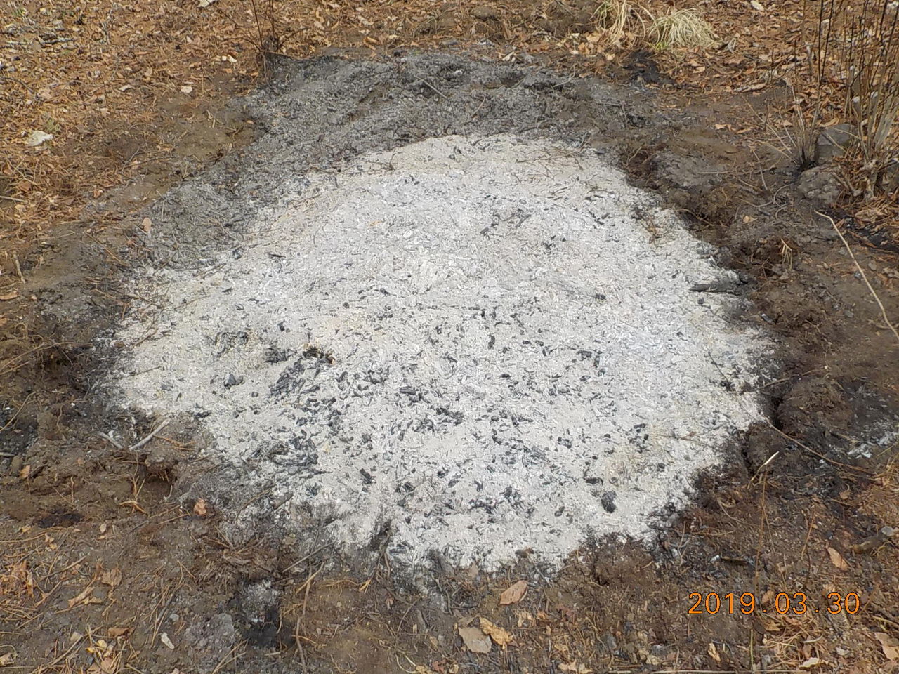 白州の杜からブログ 19年03月30日