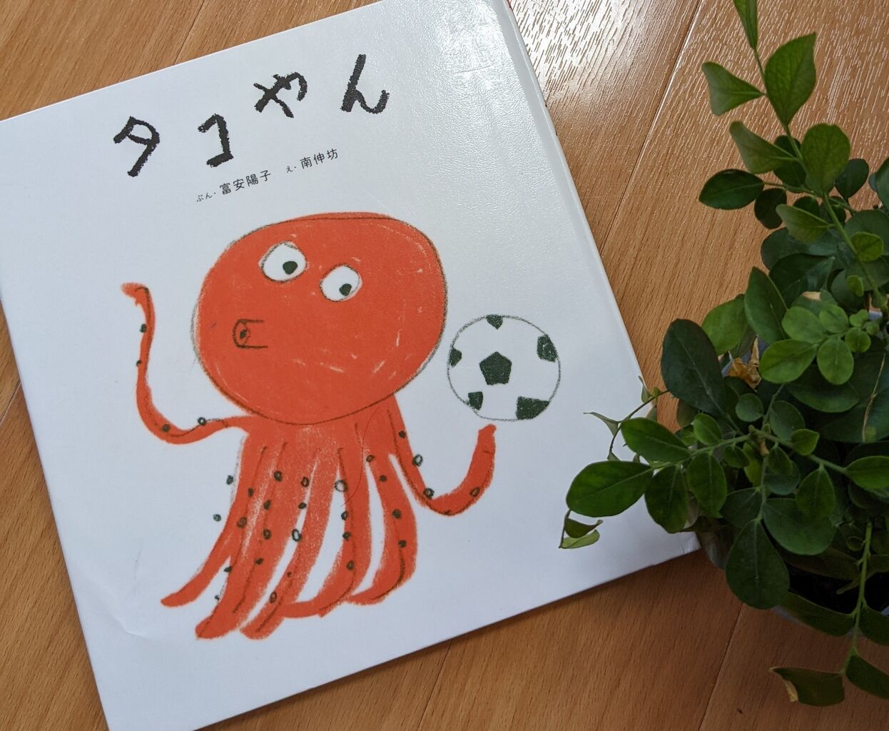 絵本の感想 タコやん かちこちレビュー 絵本の感想と子育て 絵本の感想 タコやん かちこちレビュー 絵本の感想と子育て