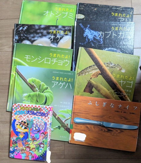 PXL_20240814_084645424~2