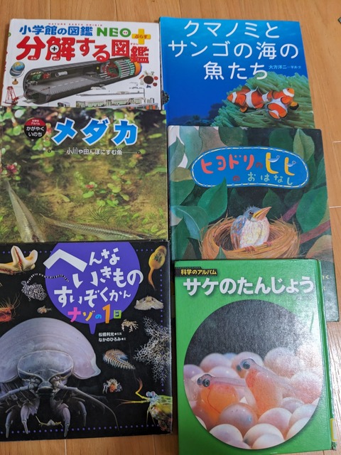 PXL_20230706_085604522