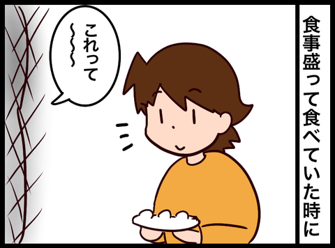 無題3742_20231220102639