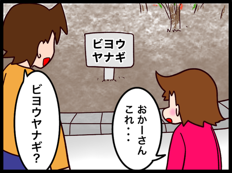 無題3809_20240214082031