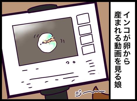 88C56963-28D5-4E4B-B1C9-40F63BC603FD