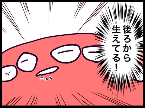 C70D5420-D2D3-4B3F-A3F1-F22A10A49A5B