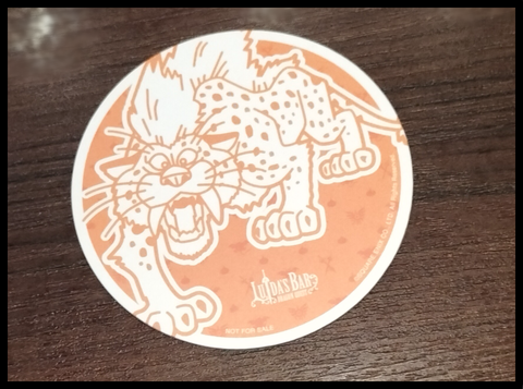 無題3855_20240506113058