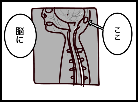 無題3811_20250203001318