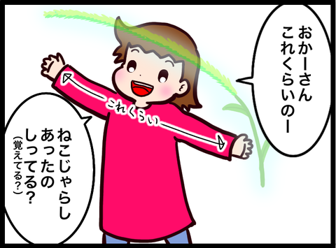 無題3317_20230605092721