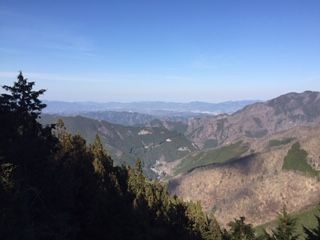IMG_4520