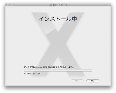 SnowLeopardInstall06