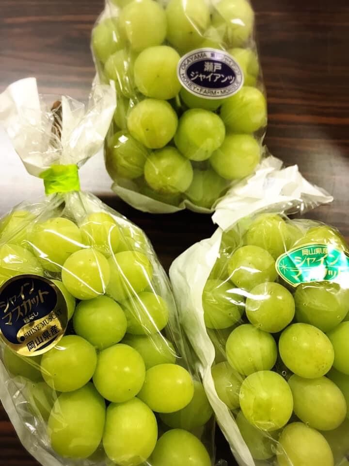 15831FF6-19C4-48C5-8383-AAA36156E51A