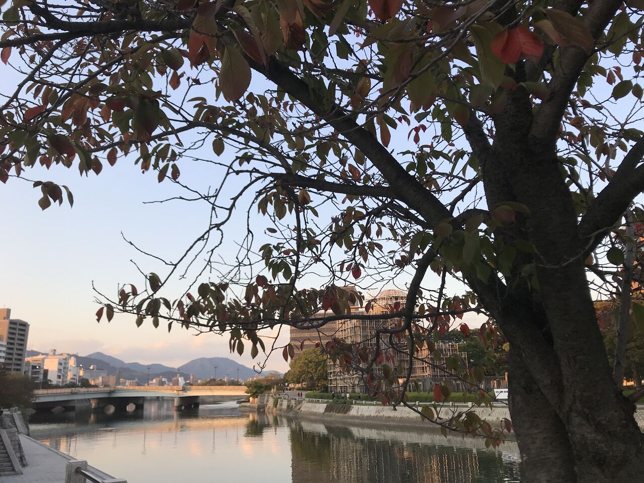 F1BFDB1F-D733-4342-B31C-2797D29A8D92