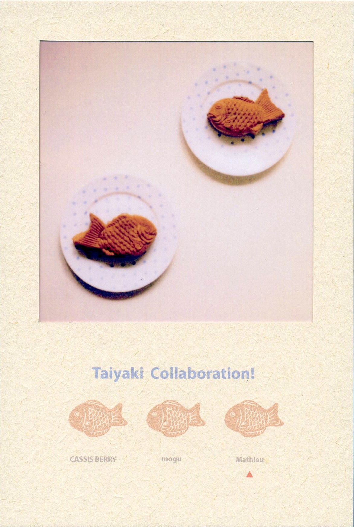 たい焼き締めくくり 加トウコマモノ店 blog たい焼き締めくくり 加トウコマモノ店 blog