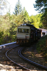 IMGP5872