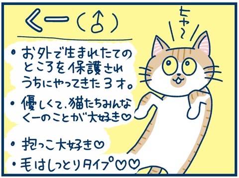 532D8AC5-6F9D-46E9-BE12-DF0BAEF849CA