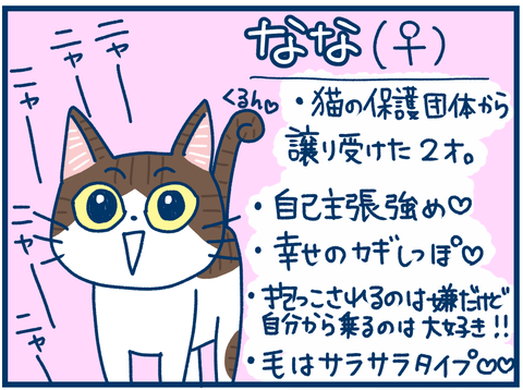 1CF8319E-B8FB-4787-960D-962AB957143F