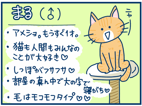 B0E9BB25-A3CC-4CC0-97C9-7E2DD4373AB8