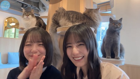 渡辺莉奈さん、むぎゅむぎゅされてしまう