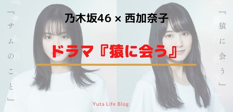 猿に会う