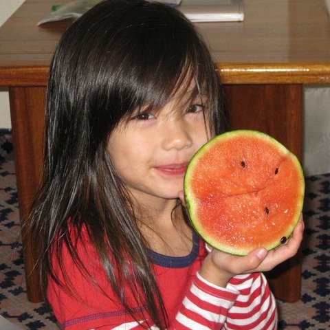 s0llxxo-1986771477300207808-01