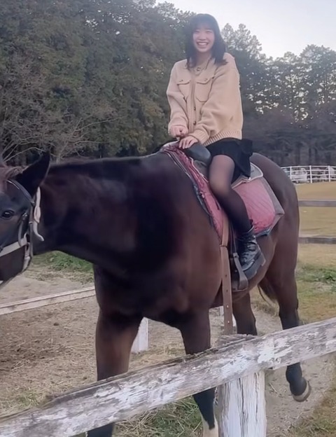 hinapai19-1993988420050567626-01