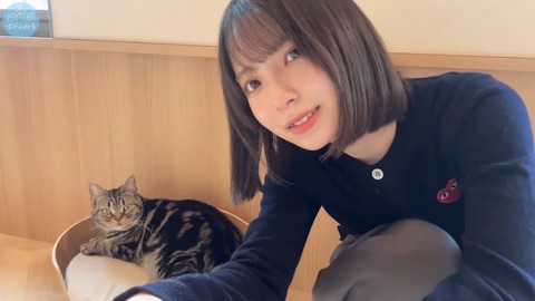 渡辺莉奈とかいう子猫、ガチで可愛すぎる(画像あり)
