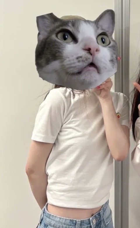 スクリーンショット 2025-06-29 13.48.16