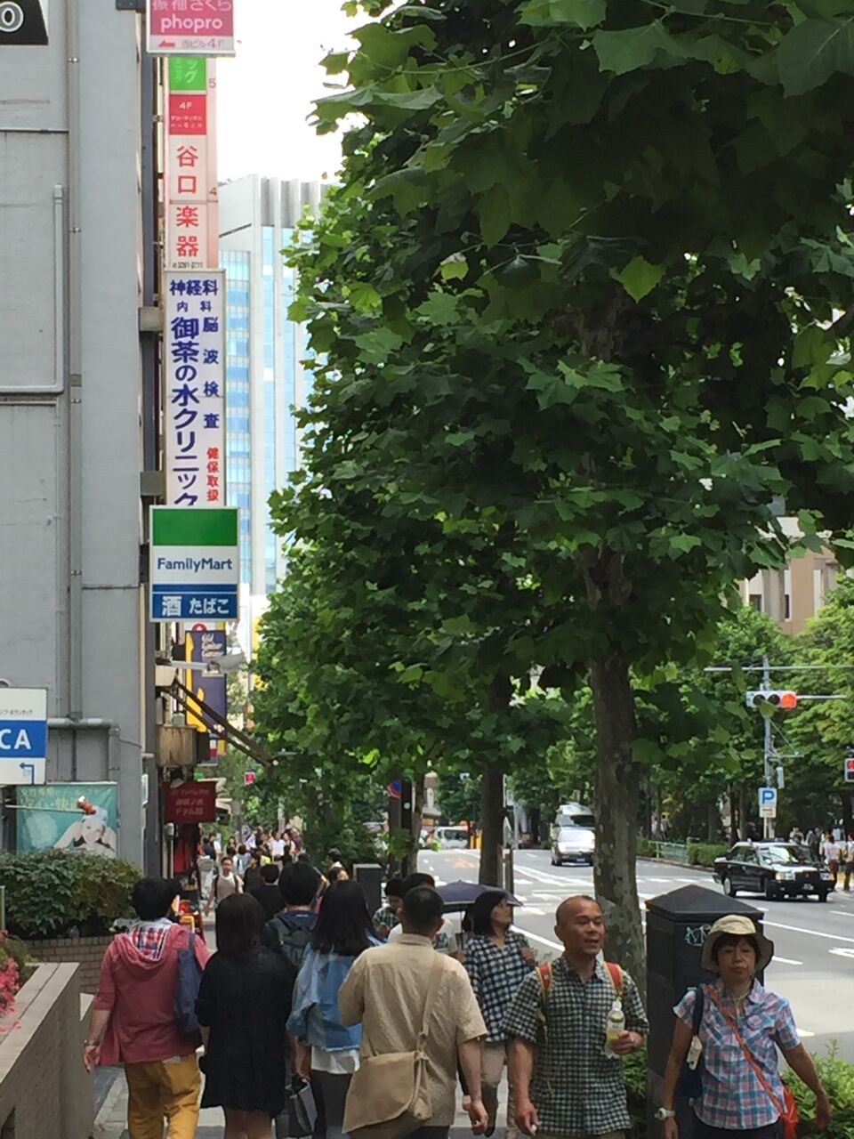 イメージ 5