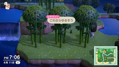 あつ森4 (15)