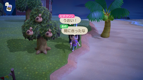 あつ森4 (22)