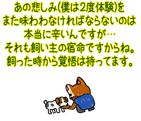 1908071919