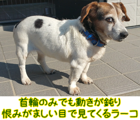 1207201212