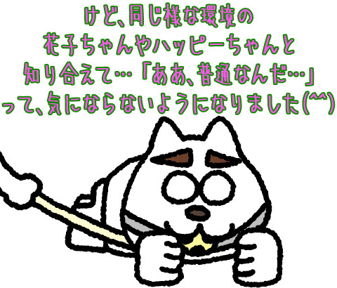 4809114848