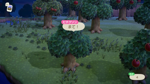 あつ森4 (21)