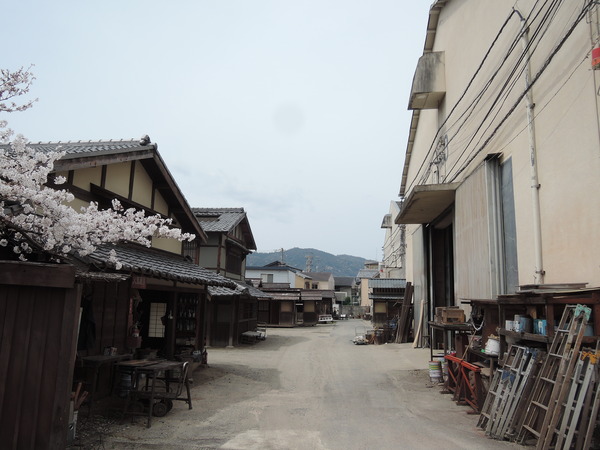 DSCN7729
