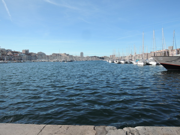 DSCN7882