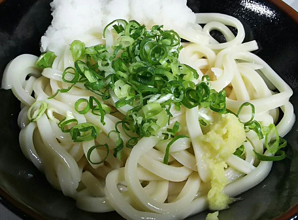 昔懐かしさ満点の昭和レトロな製麺所で味わう絶品うどん 上杉食品 香川県三豊市 ホリーポッターとグルメなお部屋 昔懐かしさ満点の昭和レトロな製麺所で味わう絶品うどん 上杉食品 香川県三豊市 ホリーポッターとグルメなお部屋